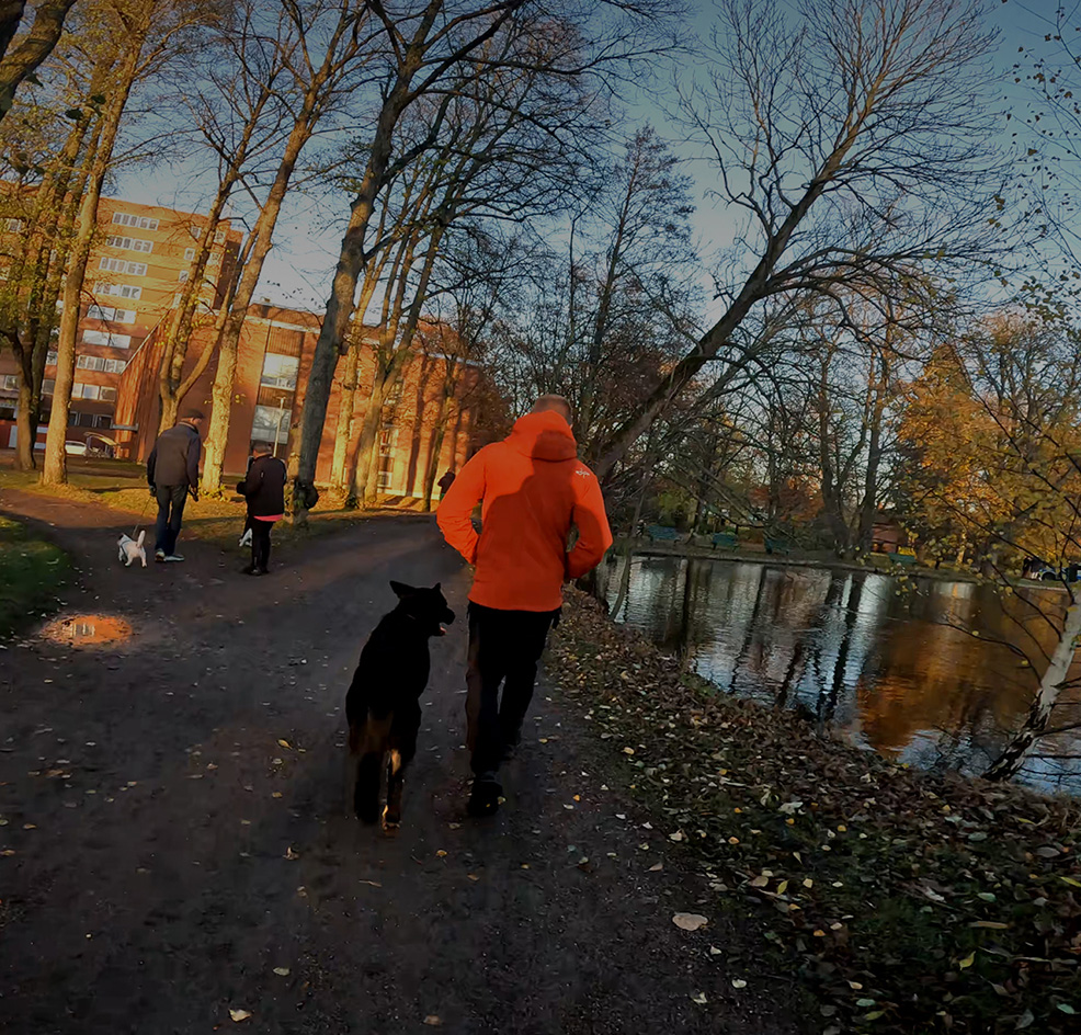 Onlinekurs funktonell lydnad på HundPT